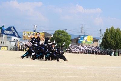 体育の部１３